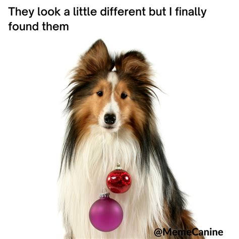 12 Christmas Dog Memes: Dog Mom Humor | YoCanine