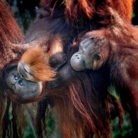 Topsy Turvy By Bob Rottenberg Olympus Digital Camera Flickr