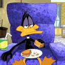 Pato Lucas Daffy Duck Wiki Warner Bros Animation Español Amino