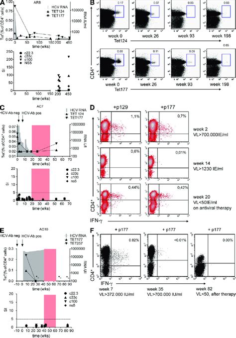 Longitudinal Assessment Of HCV Specific CD4 T Cell Responses By MHC