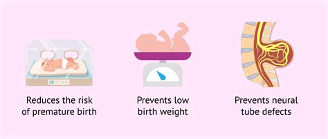 Importance of folic acid during pregnancy