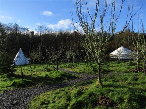 Pink Apple Orchard Glamping In Ireland Celtic Yurts Luxury