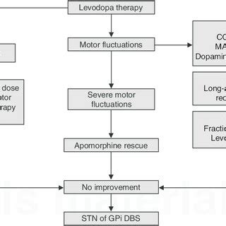 Algorithm For The Management Of Levodopa Induced Motor Complications