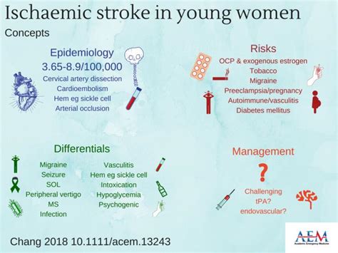 Ischemic Stroke In Young Women Image Eurekalert Science News Releases