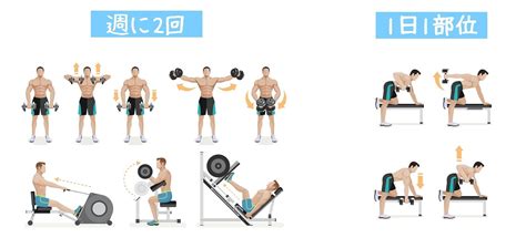 筋トレの頻度、効果的なのは週2？毎日？目的別で考える負荷強度と回数の決め方 Melos メロス Line News