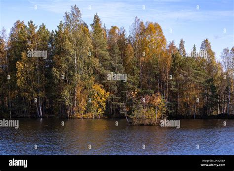 Finnish forest and lake landscape Stock Photo - Alamy