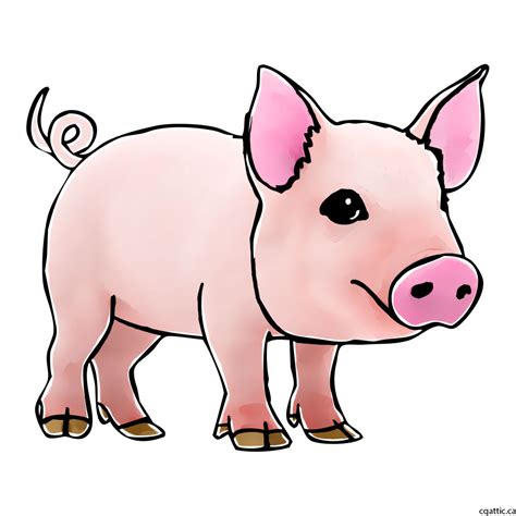 Pig Cartoon Drawing at GetDrawings | Free download