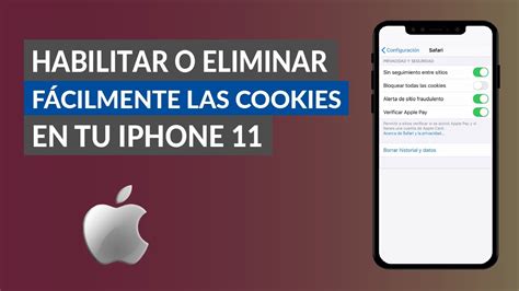 Cómo Habilitar o Eliminar Fácilmente las Cookies en tu iPhone 11