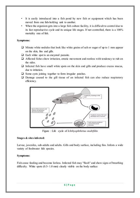 Life Cycle Of Protozoan Fish Parasite Pdf