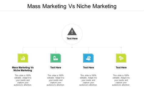 Mass Marketing Vs Niche Marketing Ppt Powerpoint Presentation Portfolio