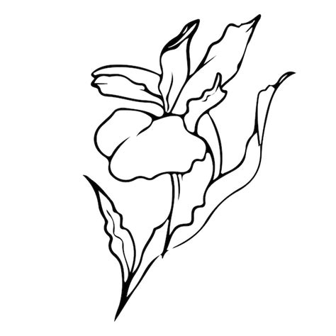 Premium Vector Flower One Line Drawing Floral Minimalistic Style