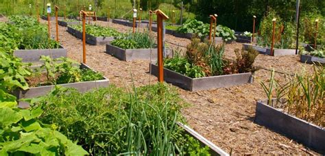 Community Garden, Community Garden Houston