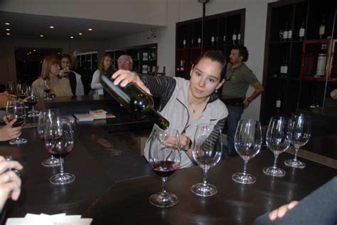 Mendoza: Full Day Wine Tour with 3 Course Lunch | GetYourGuide