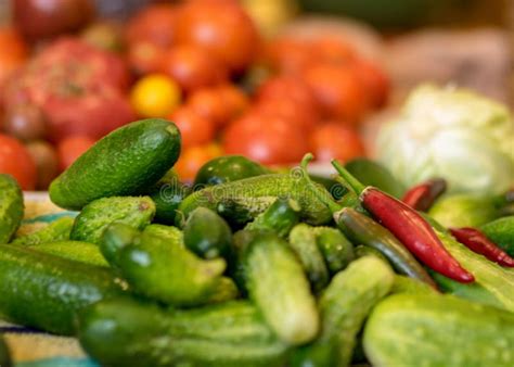 Various Vegetables Harvested From The Field And Washed Harvest Time