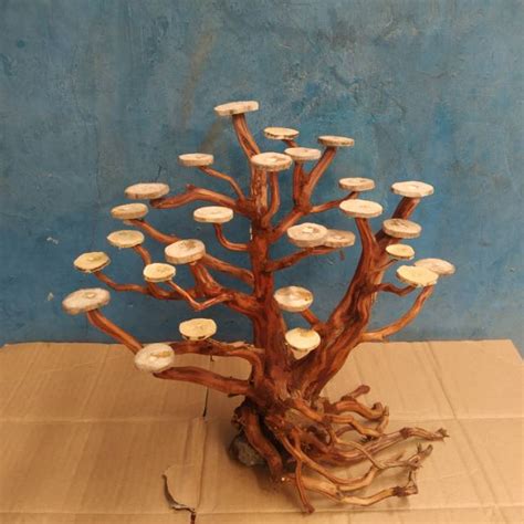 Jual Bonsai Aquascape Aquarium Kayu Rasamala Shopee Indonesia