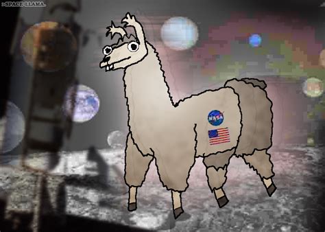 Space Llama By Shapelyman On Deviantart