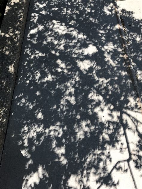 Solar Eclipse Shadows | Rick Trilsch