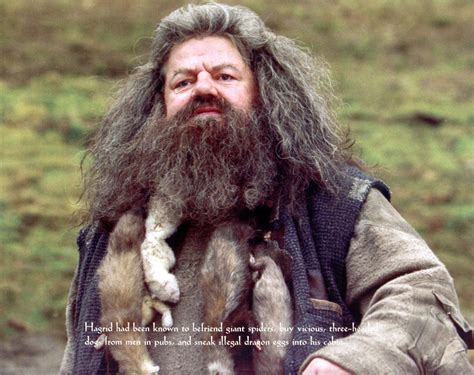 Who Is Hagrid In Harry Potter