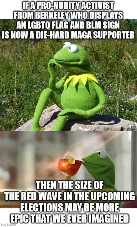 Kermit The Frog Meme Drinking Tea