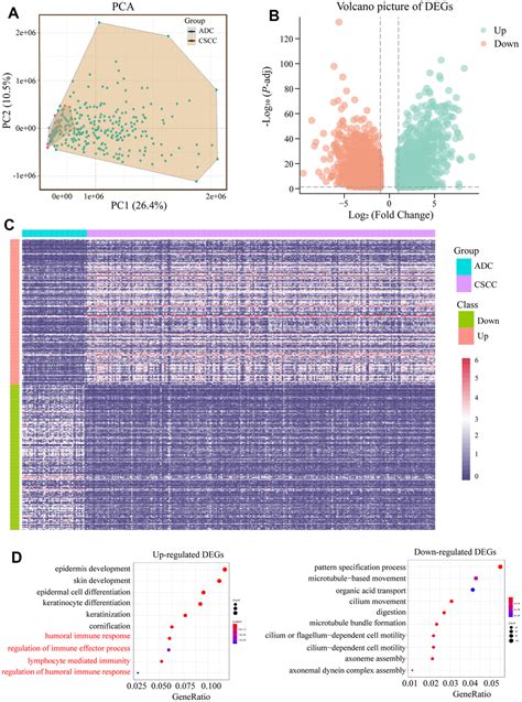 Immune Landscape And Heterogeneity Of Cervical Squamous Cell Carcinoma