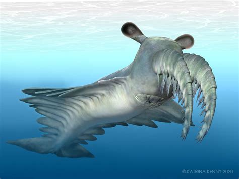 Incredible Vision In Ancient Radiating Teeth” Deep Sea Creatures Drove