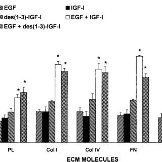 Effects Of E R Igf I And Egf On Epithelial Cell Proliferation On