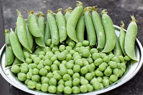 7 Manfaat Kacang Ercis Untuk Kesehatan Belum Banyak Yang Tahu Lho