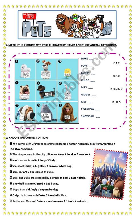 Film The Secret Life Of Pets ESL Worksheet By Roxmar