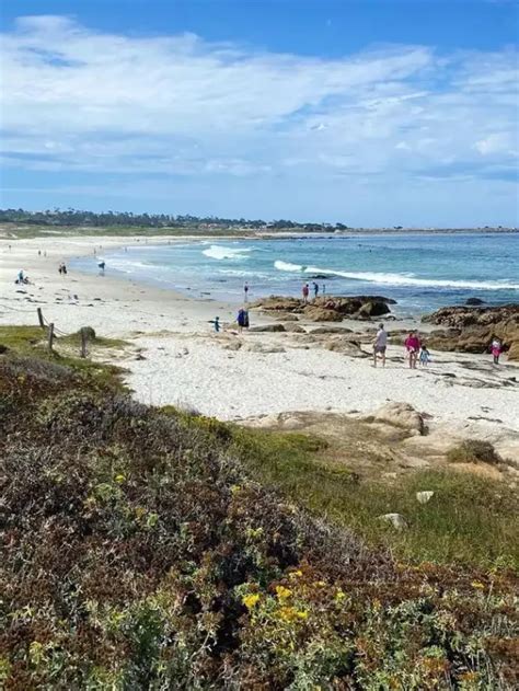 Asilomar State Beach in Del Monte Forest, California - Amazingworld