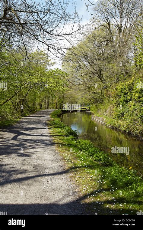 Neath canal basin hi-res stock photography and images - Alamy