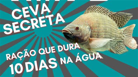 Ceva Ra O Para Tilapia Selvagem Que Dura Dias Na Gua Youtube