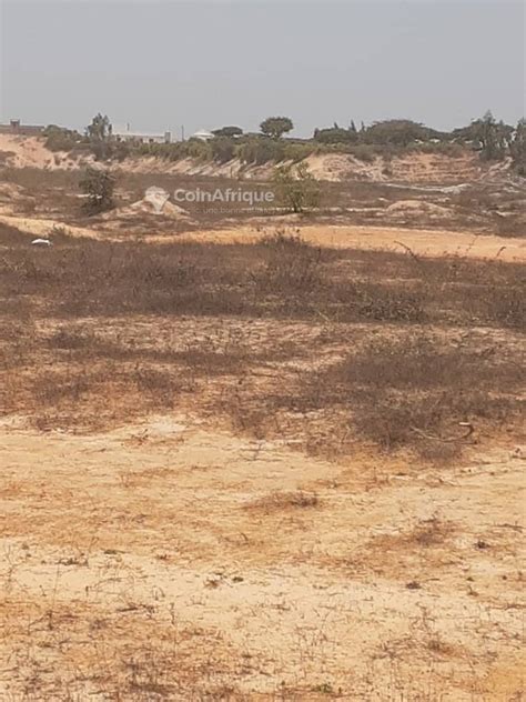 Terrains Terrain 150 m² Bambilor Dakar au Sénégal CoinAfrique Sénégal