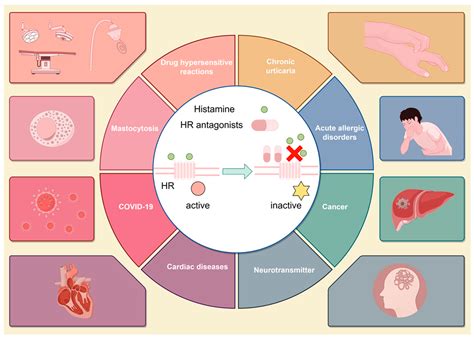 H1 And H2 Antagonists