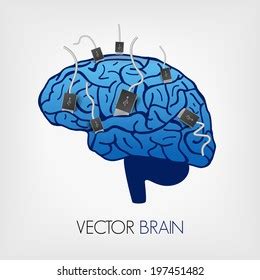 Illustration Human Brain Usb Cable Vector Stock Vector Royalty Free