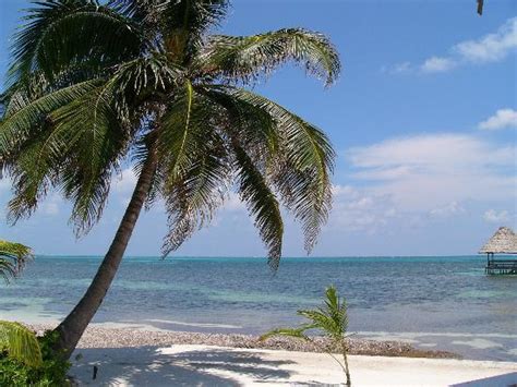 Fotos De Cayo Ambergris Imágenes De Cayo Ambergris Cayes De Belice