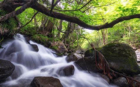 Mountains Greenery Trees Forest Lake Bovec Slovenia Bovec Slovenia Hdr