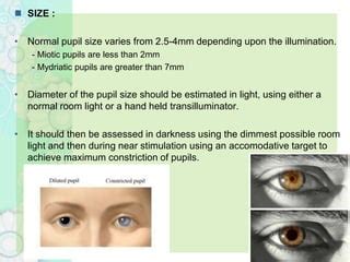 Anatomy of pupillary pathways | PPT