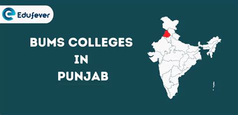 List Of Bums Colleges In Punjab Govt Pvt Seats Fees Estd