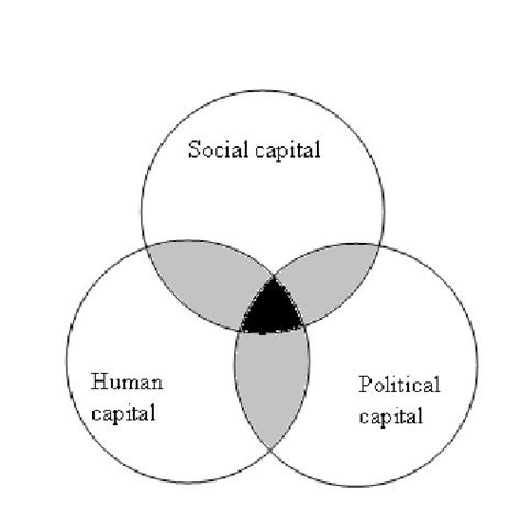 Figure1 The Relationships Between Political Capital Political Process