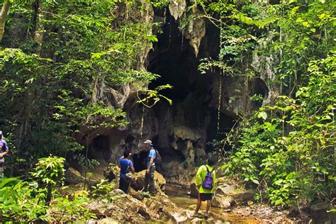 Khao Sok Trekking And Hiking Tours In The National Park