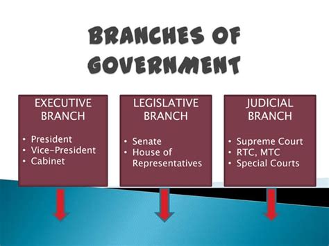 The Three Branches Of Government Power Point