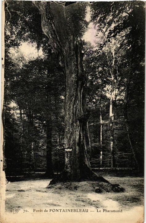 Foret de Fontainebleau Le Pharamond à Fontainebleau Cartorum