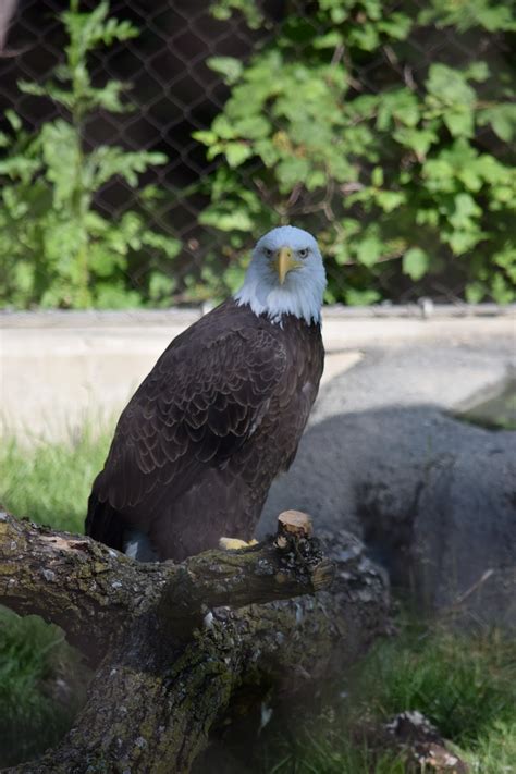 Brookfield Zoo - Floradise