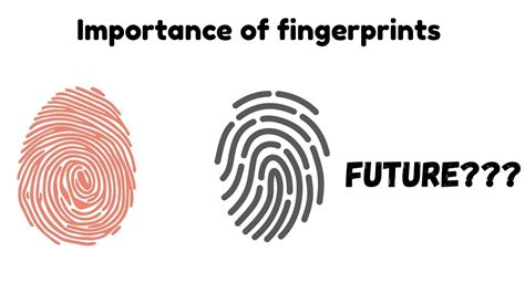 Importance Of Fingerprints Facts Viral Trending English Youtube