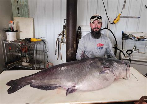 Largest Catfish In The World Record