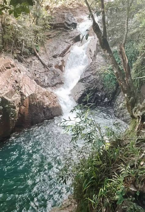 Finch Hatton Gorge Everything You Need To Know Wade And Dani October