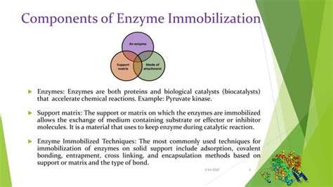 Enzyme Immobilization Methods Advantages And Disadvantages And