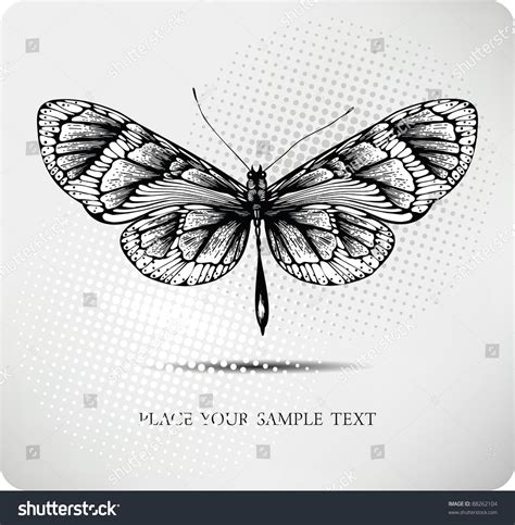 Butterfly Hand Drawingvector Stock Vector Royalty Free 88262104