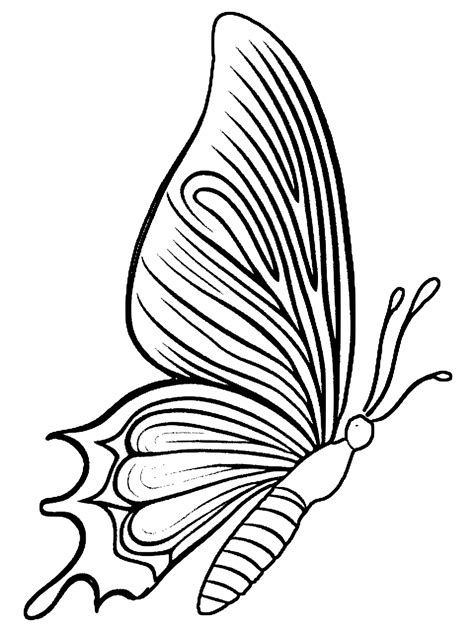 Butterfly Coloring Page · Creative Fabrica