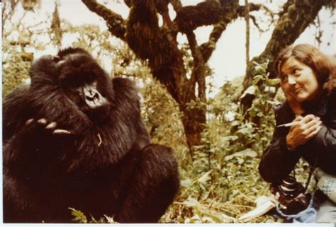 Dian Fossey Biography - Dian Fossey Gorilla Fund